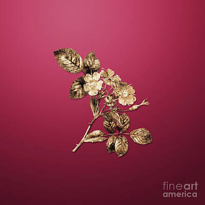 Royalty-Free and Rights-Managed Images - Vintage Flower Gold Redleaf Rose on Viva Magenta n.04439 by Holy Rock Design