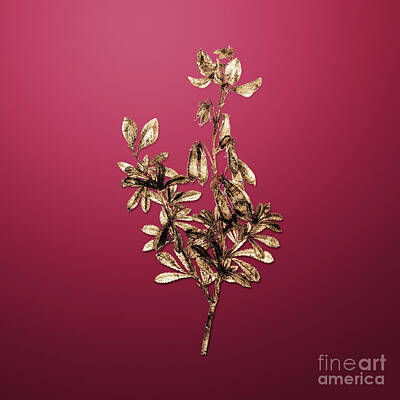 Royalty-Free and Rights-Managed Images - Vintage Flower Gold Restharrows on Viva Magenta n.04453 by Holy Rock Design