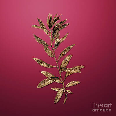 Royalty-Free and Rights-Managed Images - Vintage Flower Gold Rhodora on Viva Magenta n.04467 by Holy Rock Design