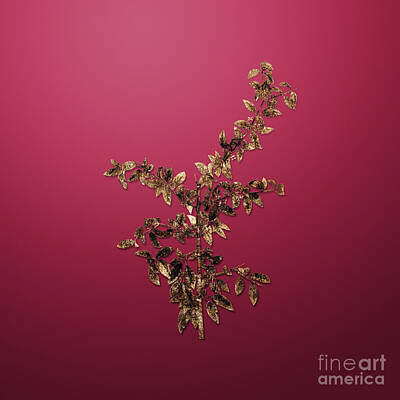 Royalty-Free and Rights-Managed Images - Vintage Flower Gold Rock Buckthorn on Viva Magenta n.04509 by Holy Rock Design