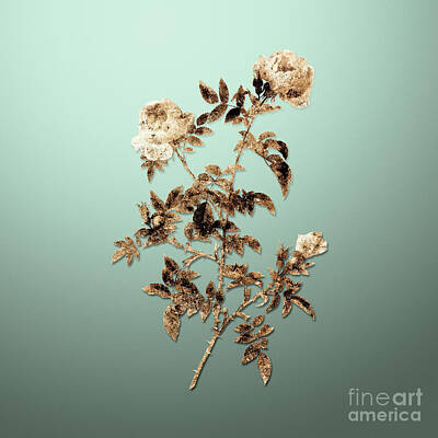 Roses Paintings - Vintage Flower Gold Rose of the Hedges on Mint Green n.04752 by Holy Rock Design