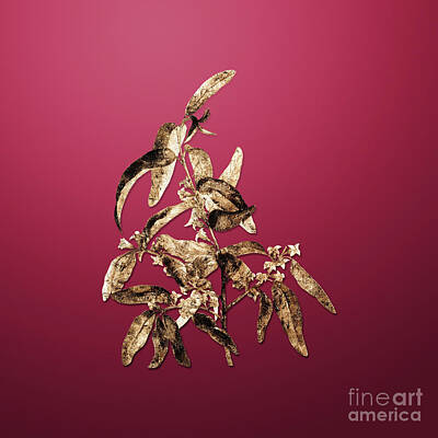 Royalty-Free and Rights-Managed Images - Vintage Flower Gold Russian Olive on Viva Magenta n.04551 by Holy Rock Design