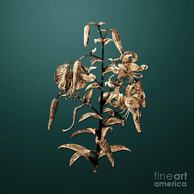 Lilies Paintings - Vintage Flower Gold Tiger Lily on Dark Teal n.04769 by Holy Rock Design