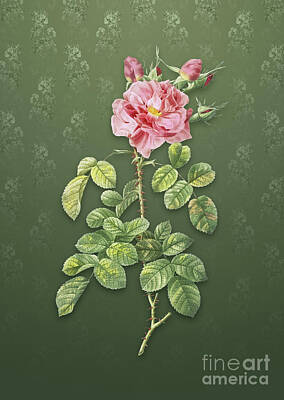 Halloween Elwell Royalty Free Images - Vintage Four Seasons Rose in Bloom Botanical Art on Lunar Green Pattern n.4689 Royalty-Free Image by Holy Rock Design