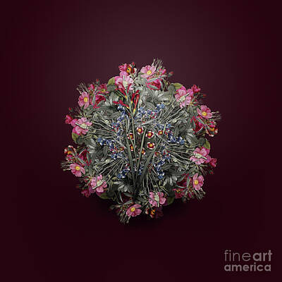Wine Paintings - Vintage Gladiolus Cunonius Flower Wreath on Wine Red n.4655 by Holy Rock Design