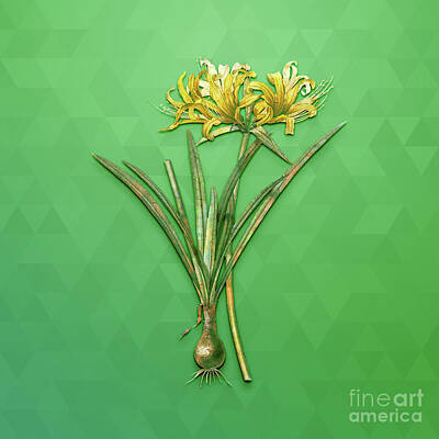 Lilies Mixed Media - Vintage Golden Hurricane Lily Botanical Art on Classic Green n.1693 by Holy Rock Design