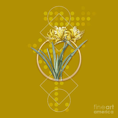 Lilies Mixed Media - Vintage Golden Hurricane Lily Botanical with Geometric Motif n.0530 by Holy Rock Design