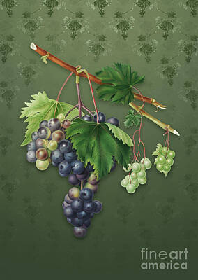 European Photography - Vintage Grape from Ischia Botanical Art on Lunar Green Pattern n.4833 by Holy Rock Design