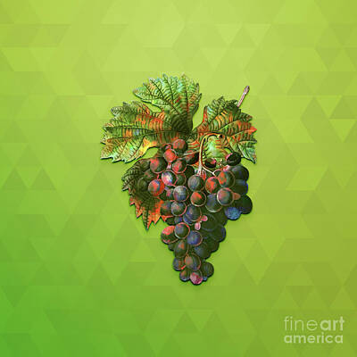 Animals Mixed Media - Vintage Grape Vine Botanical Art on Love Bird Green n.0279 by Holy Rock Design