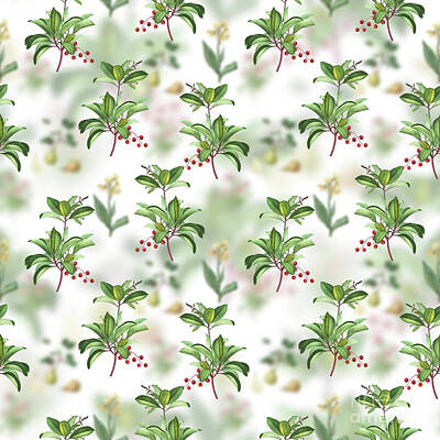Lets Be Frank - Vintage Greek Strawberry Tree Floral Garden Pattern on White n.0820 by Holy Rock Design