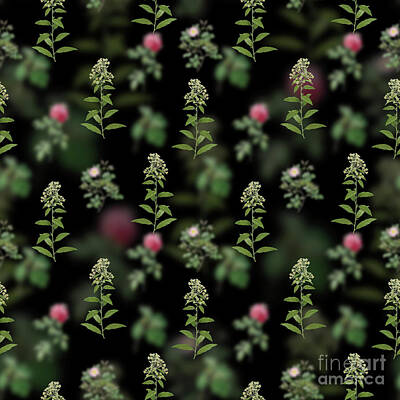 Florals Mixed Media - Vintage Green Cestrum Floral Garden Pattern on Black n.0233 by Holy Rock Design