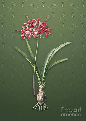 Lilies Mixed Media - Vintage Guernsey Lily Botanical Art on Lunar Green Pattern n.3100 by Holy Rock Design