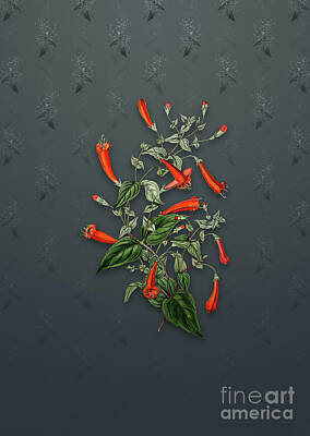 Soap Suds - Vintage Heart Leaf Manettia Botanical Art on Slate Gray Pattern n.4355 by Holy Rock Design
