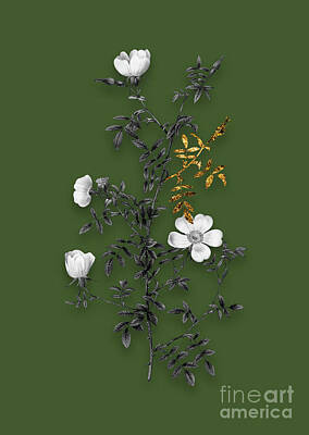 Penguins - Vintage Hedge Rose Black and White Gilded Floral Art on Olive Green n.0824 by Holy Rock Design