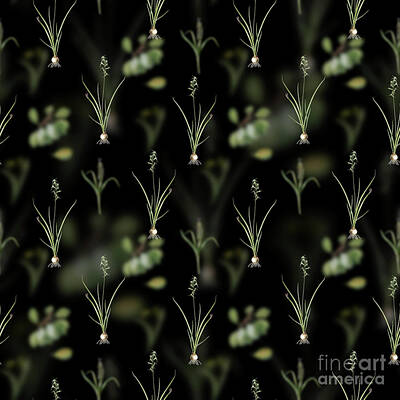 Florals Mixed Media - Vintage Hyacinthus Viridis Floral Garden Pattern on Black n.0205 by Holy Rock Design