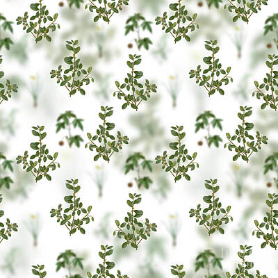 Mixed Media - Vintage Italian Buckthorn Floral Garden Pattern on White n.2134 by Holy Rock Design