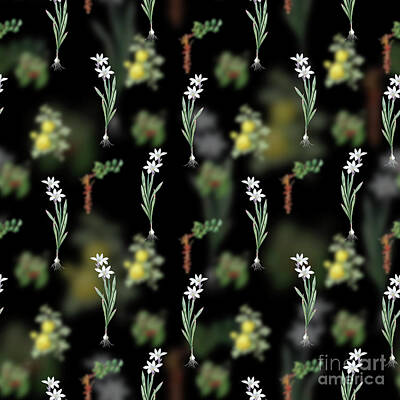 Florals Mixed Media - Vintage Ixia Liliago Floral Garden Pattern on Black n.0231 by Holy Rock Design