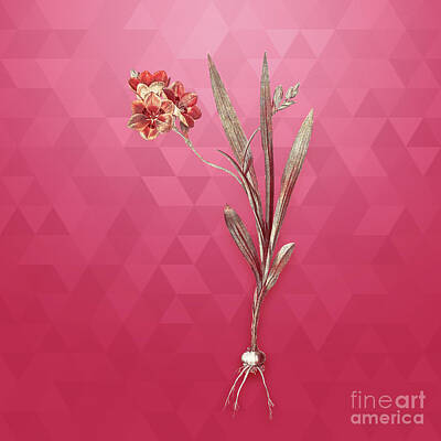 Food And Beverage Mixed Media - Vintage Ixia Miniata in Gold on Viva Magenta by Holy Rock Design