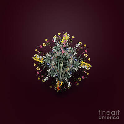 Wine Paintings - Vintage Ixia Scillaris Floral Wreath on Wine Red n.3409 by Holy Rock Design