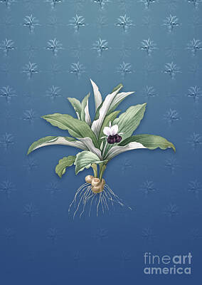 Car Design Icons Royalty Free Images - Vintage Kaempferia Angustifolia Botanical Art on Bahama Blue Pattern n.5361 Royalty-Free Image by Holy Rock Design