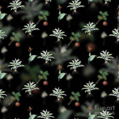Florals Mixed Media - Vintage Kaempferia Angustifolia Floral Garden Pattern on Black n.0173 by Holy Rock Design