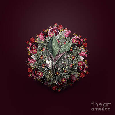 Wine Royalty-Free and Rights-Managed Images - Vintage Koemferia Longa Flower Wreath on Wine Red n.1267 by Holy Rock Design