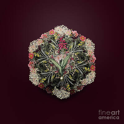 Wine Paintings - Vintage Lachenalia Pendula Flower Wreath on Wine Red n.4793 by Holy Rock Design