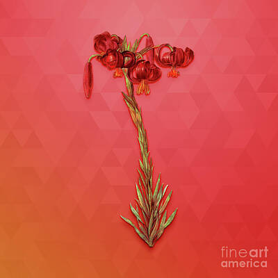Lilies Mixed Media - Vintage Lily Botanical Art on Fiery Red n.0742 by Holy Rock Design