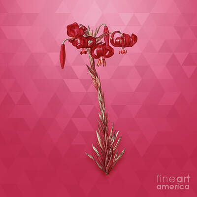 Lilies Mixed Media - Vintage Lily in Gold on Viva Magenta by Holy Rock Design