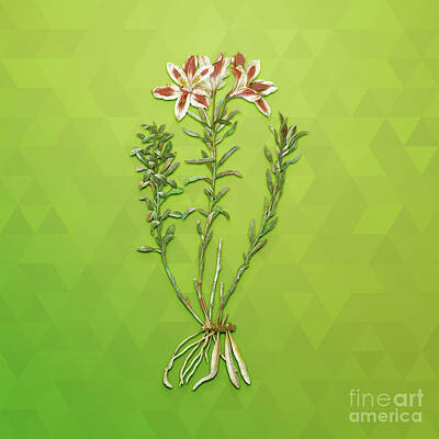 Lilies Mixed Media - Vintage Lily Of The Incas Botanical Art on Love Bird Green n.0939 by Holy Rock Design