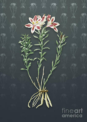 Lilies Mixed Media - Vintage Lily of the Incas Botanical Art on Slate Gray Pattern n.4791 by Holy Rock Design