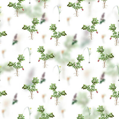 Florals Mixed Media - Vintage Lingonberry Floral Garden Pattern on White n.0174 by Holy Rock Design