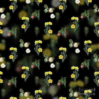 Florals Mixed Media - Vintage Long Stalked Ledocarpum Floral Garden Pattern on Black n.0203 by Holy Rock Design