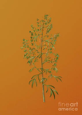 Florals Mixed Media - Vintage Madeira Wormwood Botanical Art on Sunset Orange n.0980 by Holy Rock Design