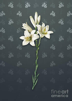 Lilies Mixed Media - Vintage Madonna Lily Botanical Art on Slate Gray Pattern n.4670 by Holy Rock Design