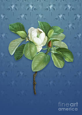 Food And Beverage Mixed Media - Vintage Magnolia Elegans Botanical Art on Bahama Blue Pattern n.4672 by Holy Rock Design
