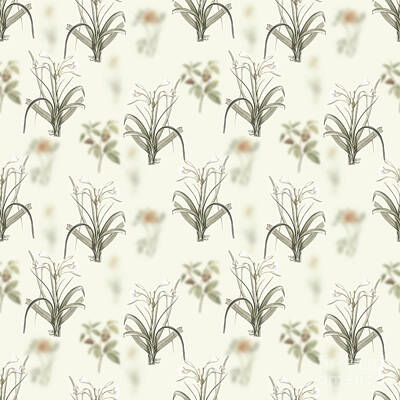 Lilies Mixed Media - Vintage Malgas Lily Boho Botanical Pattern on Soft Warm White n.0587 by Holy Rock Design