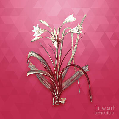 Lilies Mixed Media - Vintage Malgas Lily in Gold on Viva Magenta by Holy Rock Design