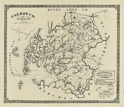 Lupen Grainne - Vintage map Talbot Co., Maryland 1875 by JL Images
