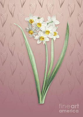 Fall Pumpkins - Vintage Narcissus Easter Flower Botanical Art on Dusty Pink Pattern n.4029 by Holy Rock Design