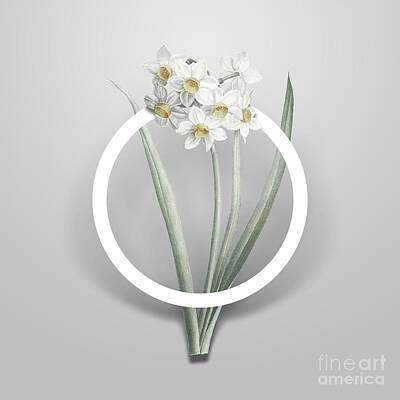 Thomas Kinkade Rights Managed Images - Vintage Narcissus Easter Flower Minimalist Floral Geometric Circle Art N.192 Royalty-Free Image by Holy Rock Design