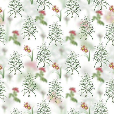 Nailia Schwarz Poppies Royalty Free Images - Vintage Narrow Leaved Spider Floral Garden Pattern on White n.1296 Royalty-Free Image by Holy Rock Design