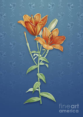 Lilies Mixed Media - Vintage Orange Bulbous Lily Botanical Art on Bahama Blue Pattern n.4607 by Holy Rock Design