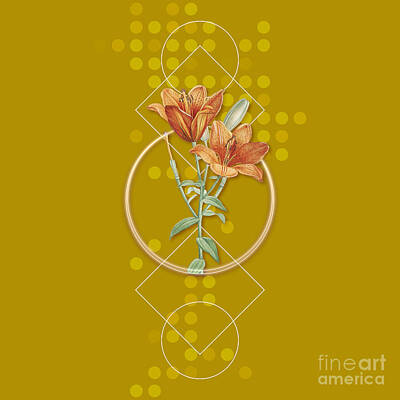 Lilies Mixed Media - Vintage Orange Bulbous Lily Botanical with Geometric Motif n.0946 by Holy Rock Design