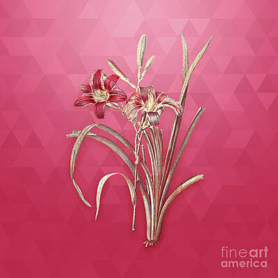 Lilies Mixed Media - Vintage Orange Day Lily in Gold on Viva Magenta by Holy Rock Design