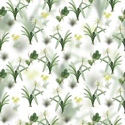 Florals Mixed Media - Vintage Pancratium Illyricum Floral Garden Pattern on White n.0180 by Holy Rock Design