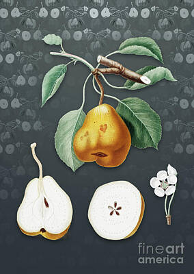 Prescription Medicine - Vintage Pear Botanical Art on Slate Gray Pattern n.0731 by Holy Rock Design