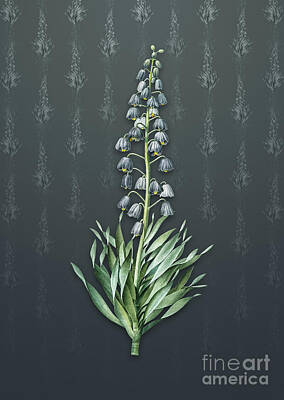 Lilies Mixed Media - Vintage Persian Lily Botanical Art on Slate Gray Pattern n.2152 by Holy Rock Design