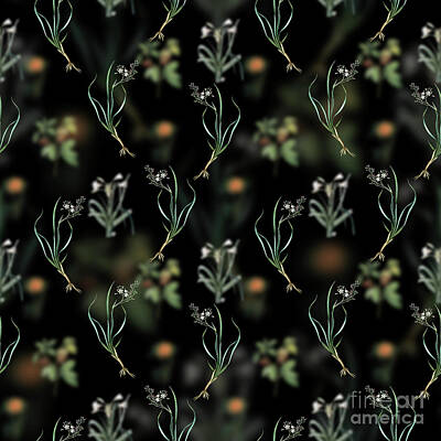 Florals Mixed Media - Vintage Phalangium Bicolor Floral Garden Pattern on Black n.0211 by Holy Rock Design