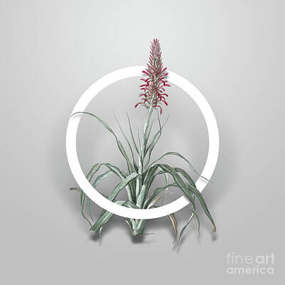 Design Turnpike Books - Vintage Pina Cortadora Minimalist Floral Geometric Circle Art N.635 by Holy Rock Design